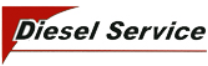 Il s'agit du logo de Diesel Service qui recrute un mécanicien automobile