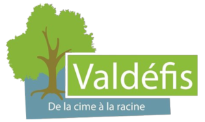La photo représente le logo de l'entreprise Valdéfis qui recrute un mécanicien polyvalent