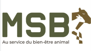 logo de l'entreprise